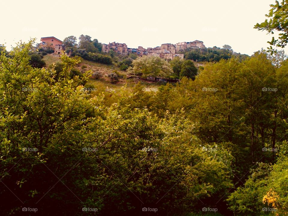 Houses on a Calabrian Hill