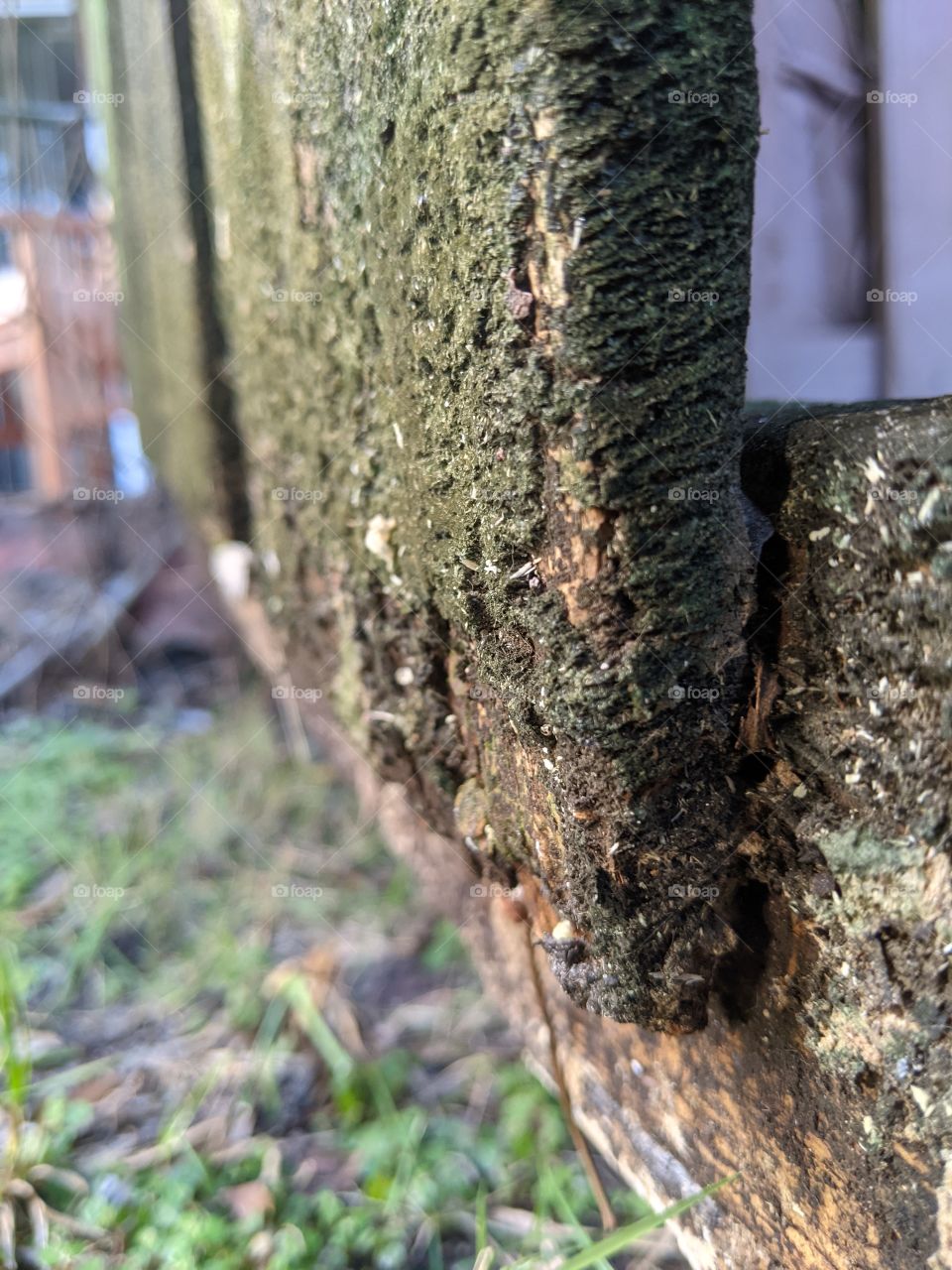 Beauty in everyday things