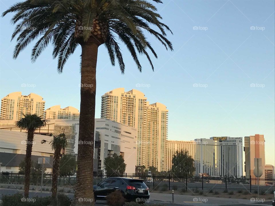 Vegas