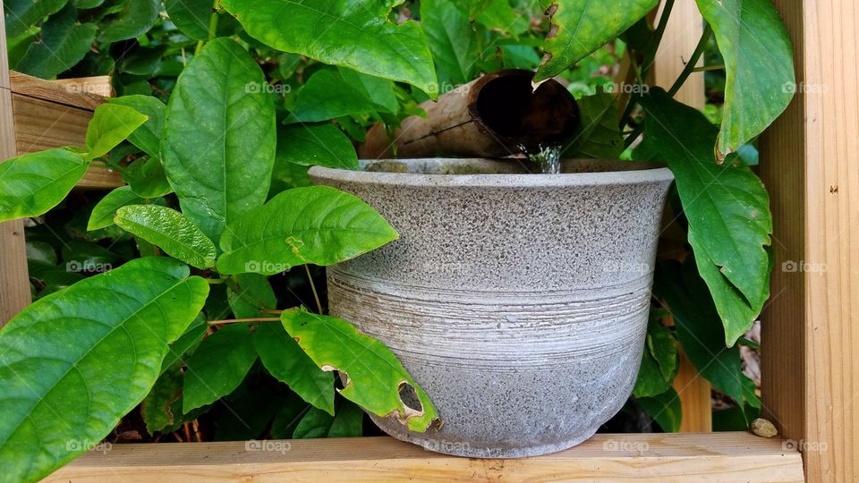 Bamboo water spout