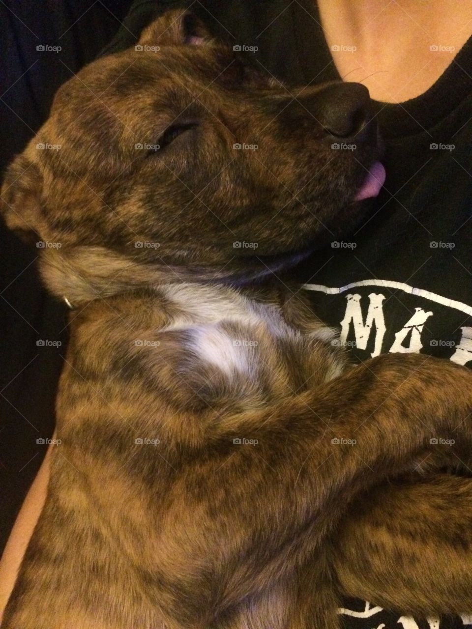 Tongue out snooze. 👅 