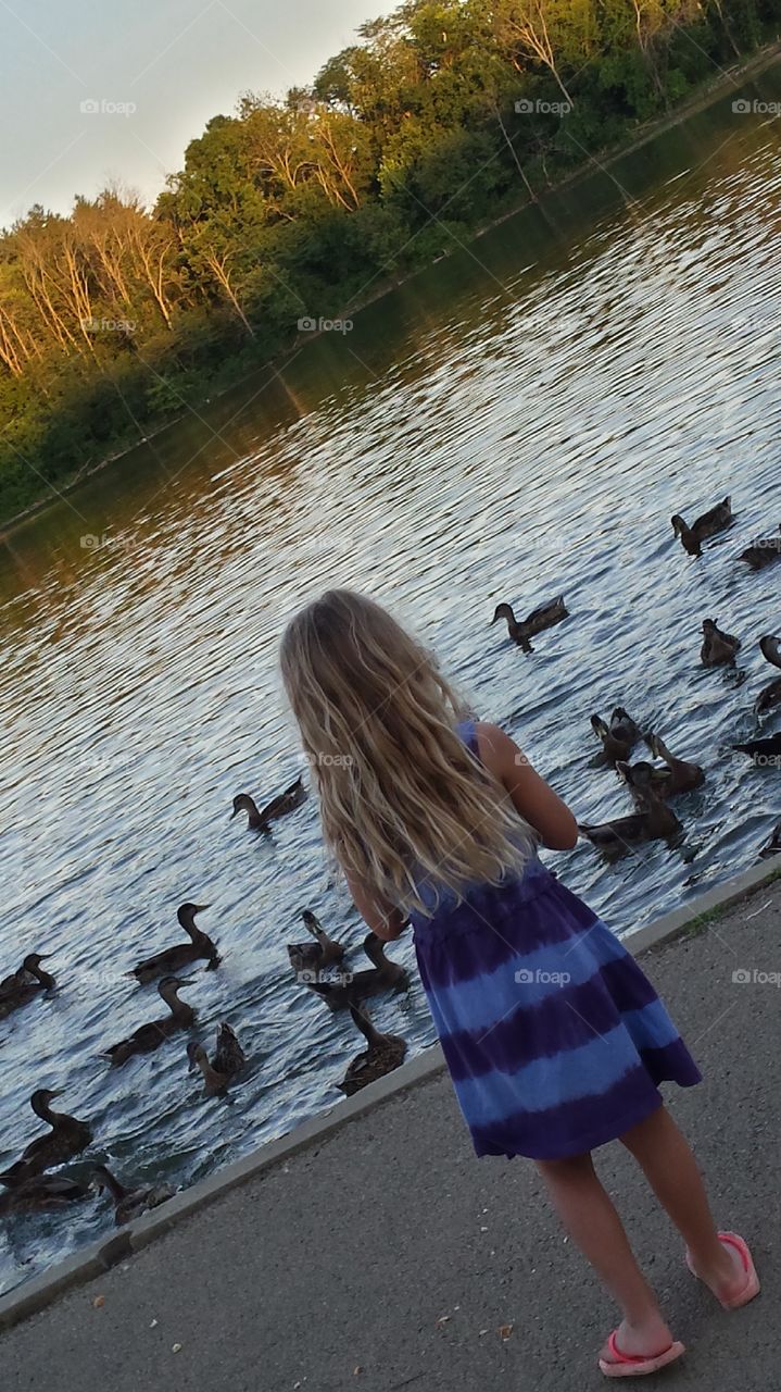 Feeding the Ducks