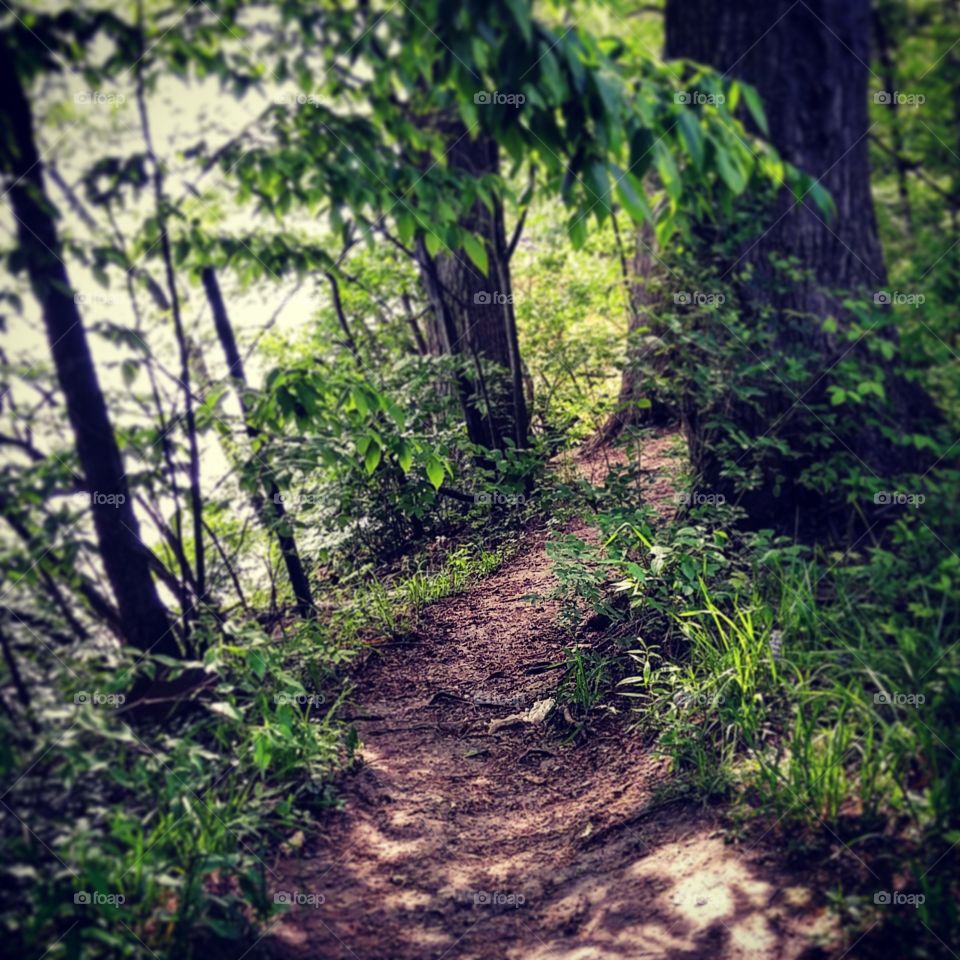 Nature path