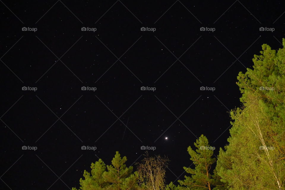 Starry sky