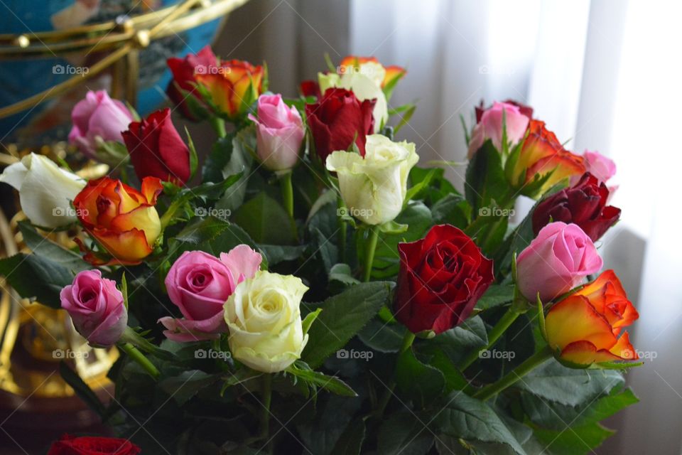 Rose, Bouquet, Flower, Love, Romance