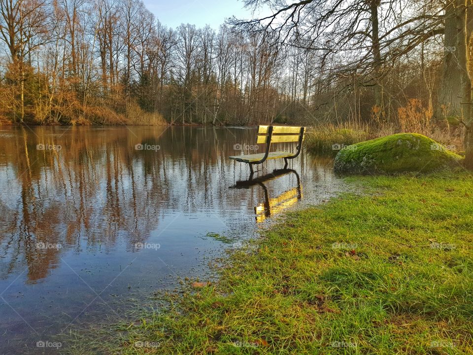 Nature reflections