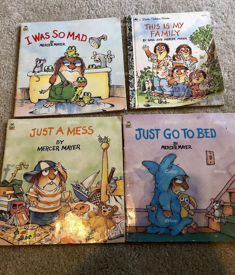 4 books by Mercer Meyer