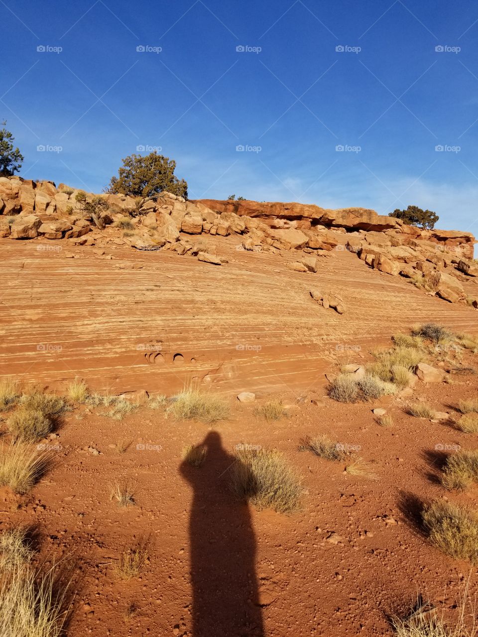 Canyon Wall in Escalante