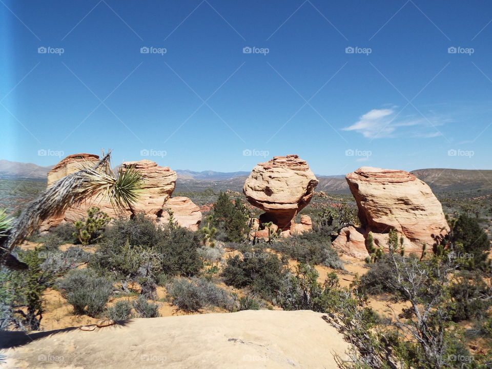 Nevada Desert Rocks