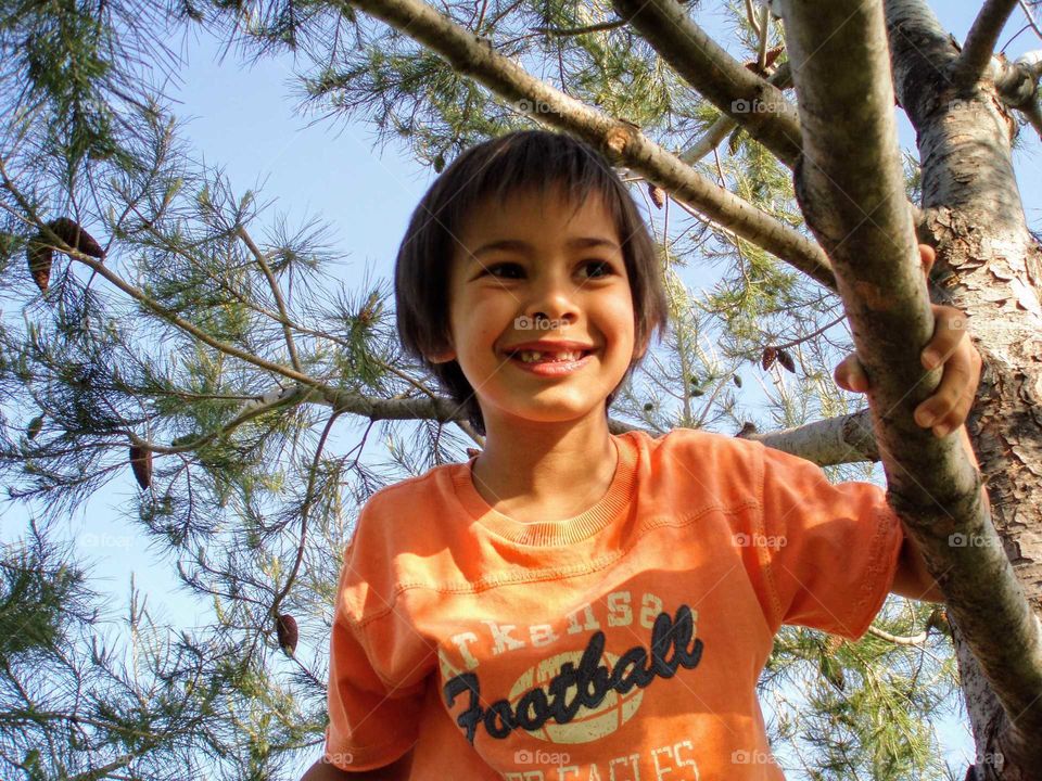 The orange color stories