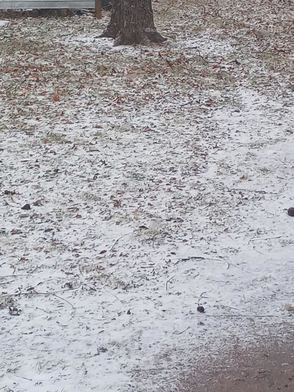 yes it's snowing again, we're getting some more of the white stuff! come on spring!