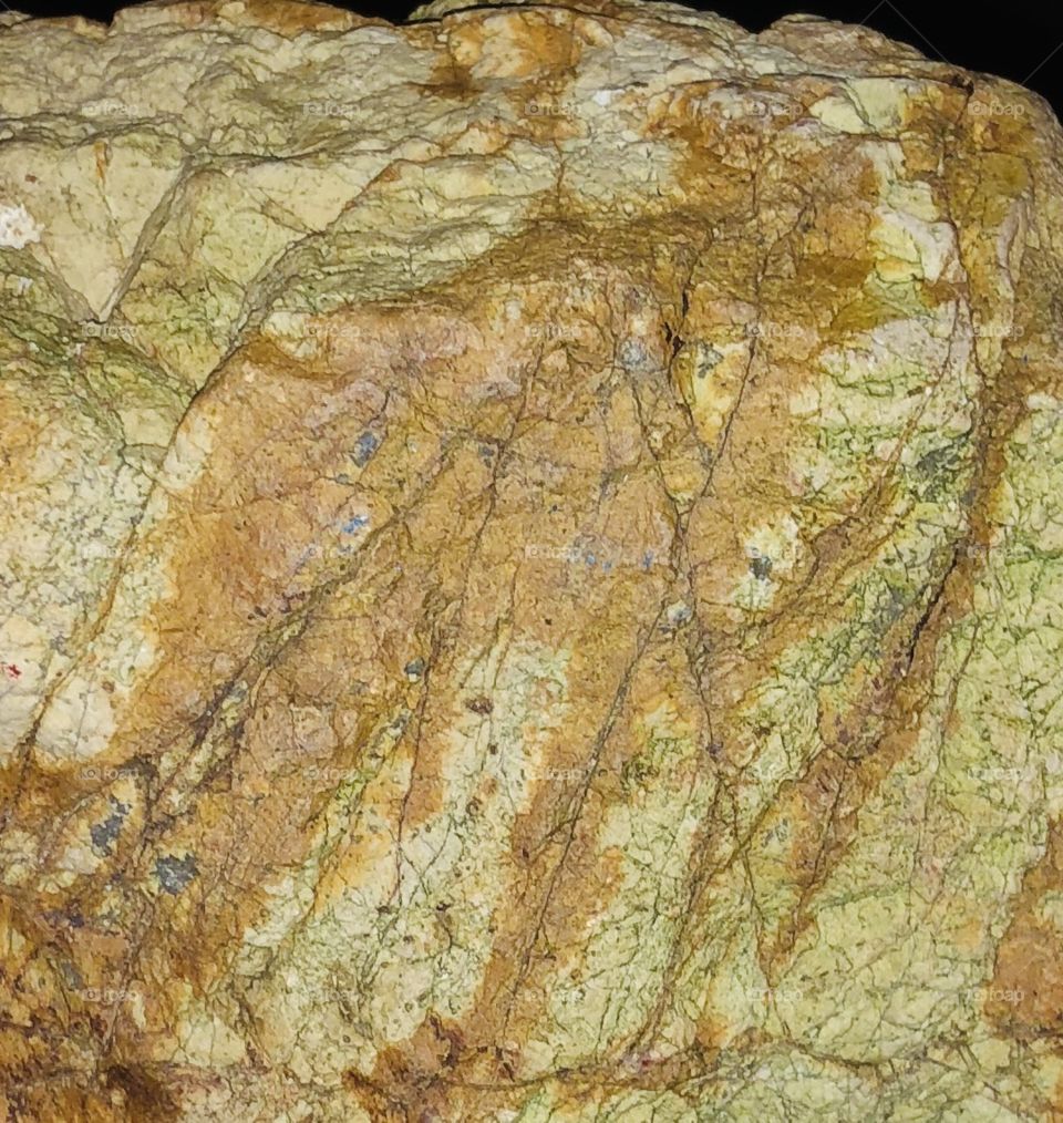 Unique pattern on rock