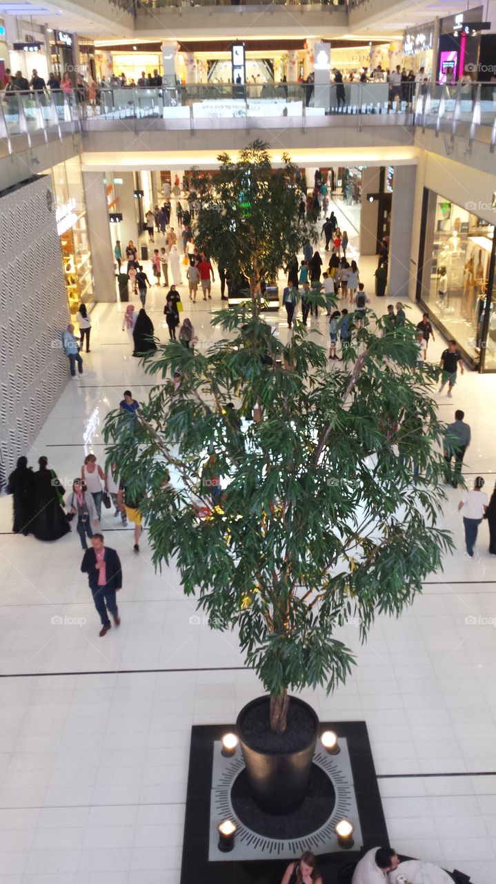 whole way of dubai  mall