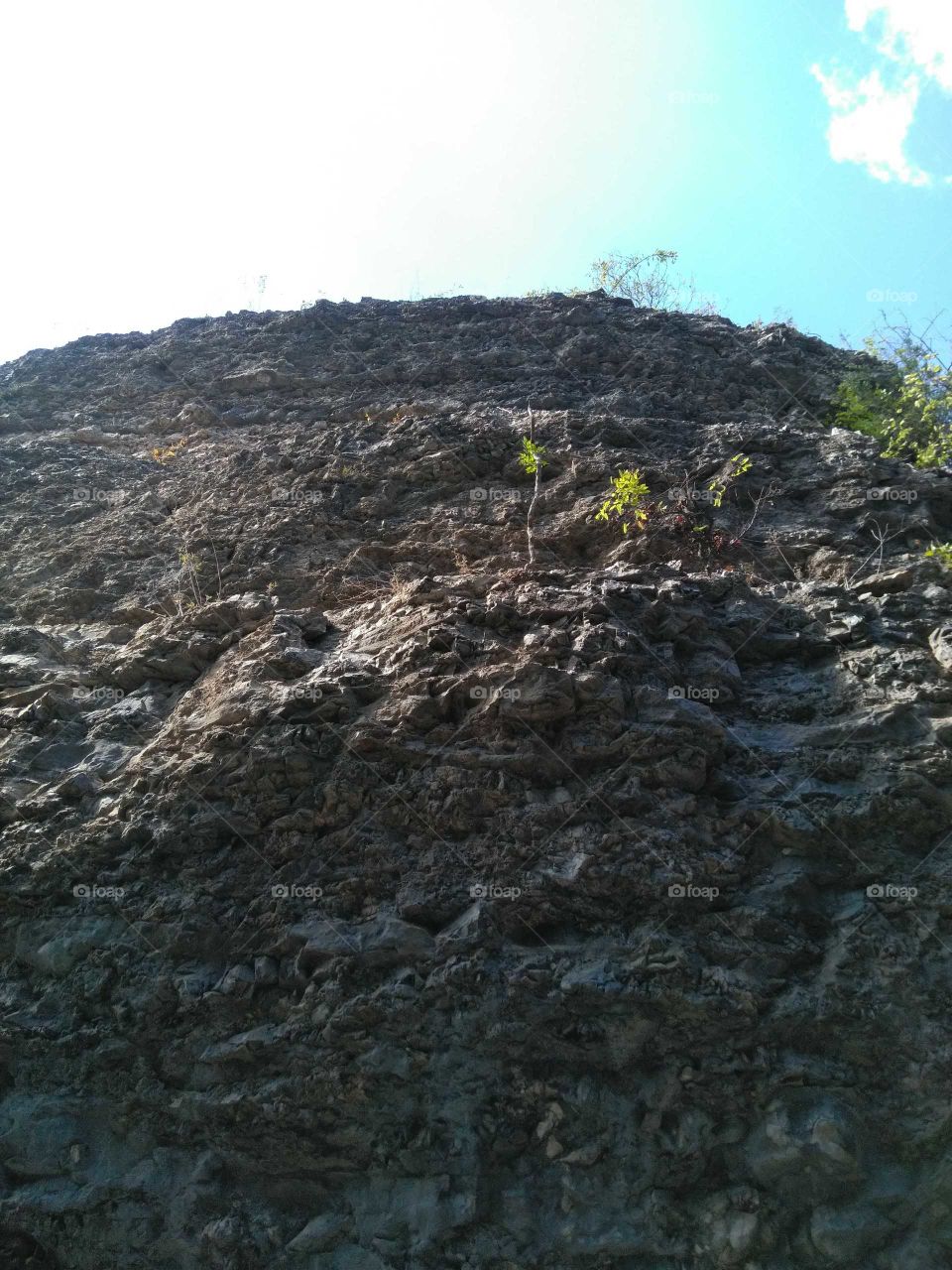 Looking up the cliff.