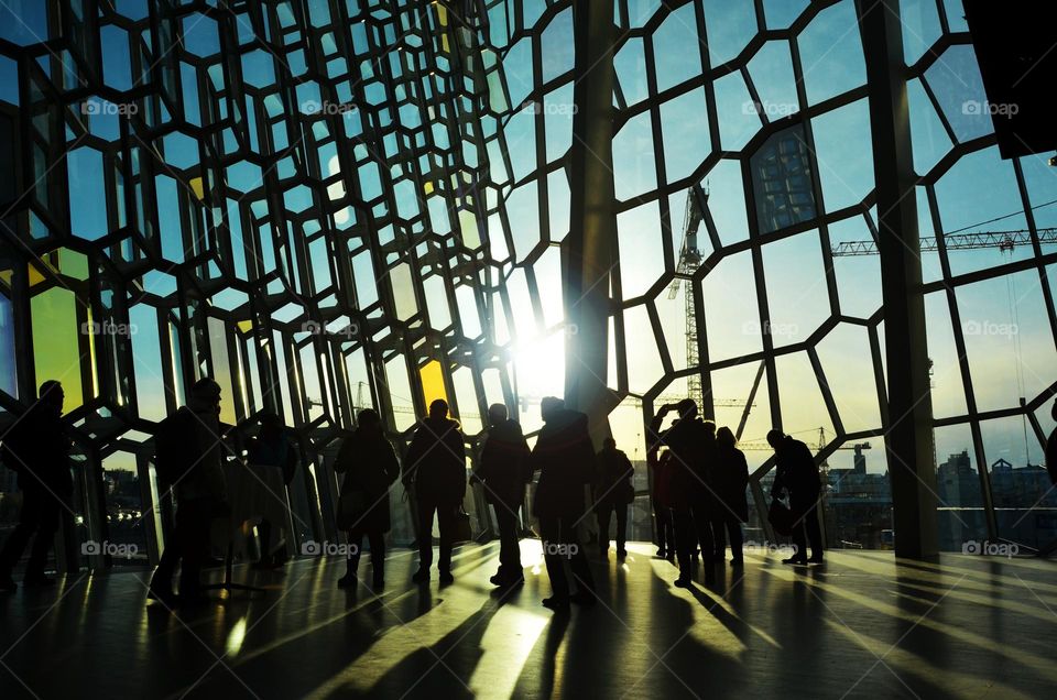 Icelandic Windows, Harpa