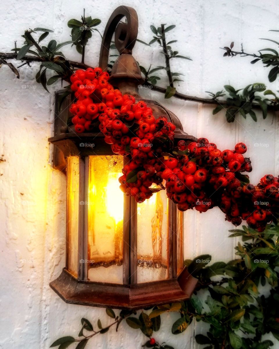 Lantern adorned with holly and berries