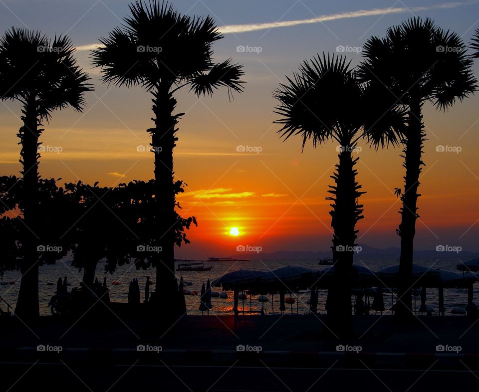 Sunset and silhouette palm trees on the beach