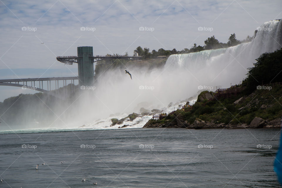 Water in motion