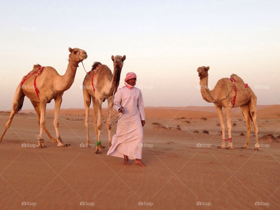 Omani desert
