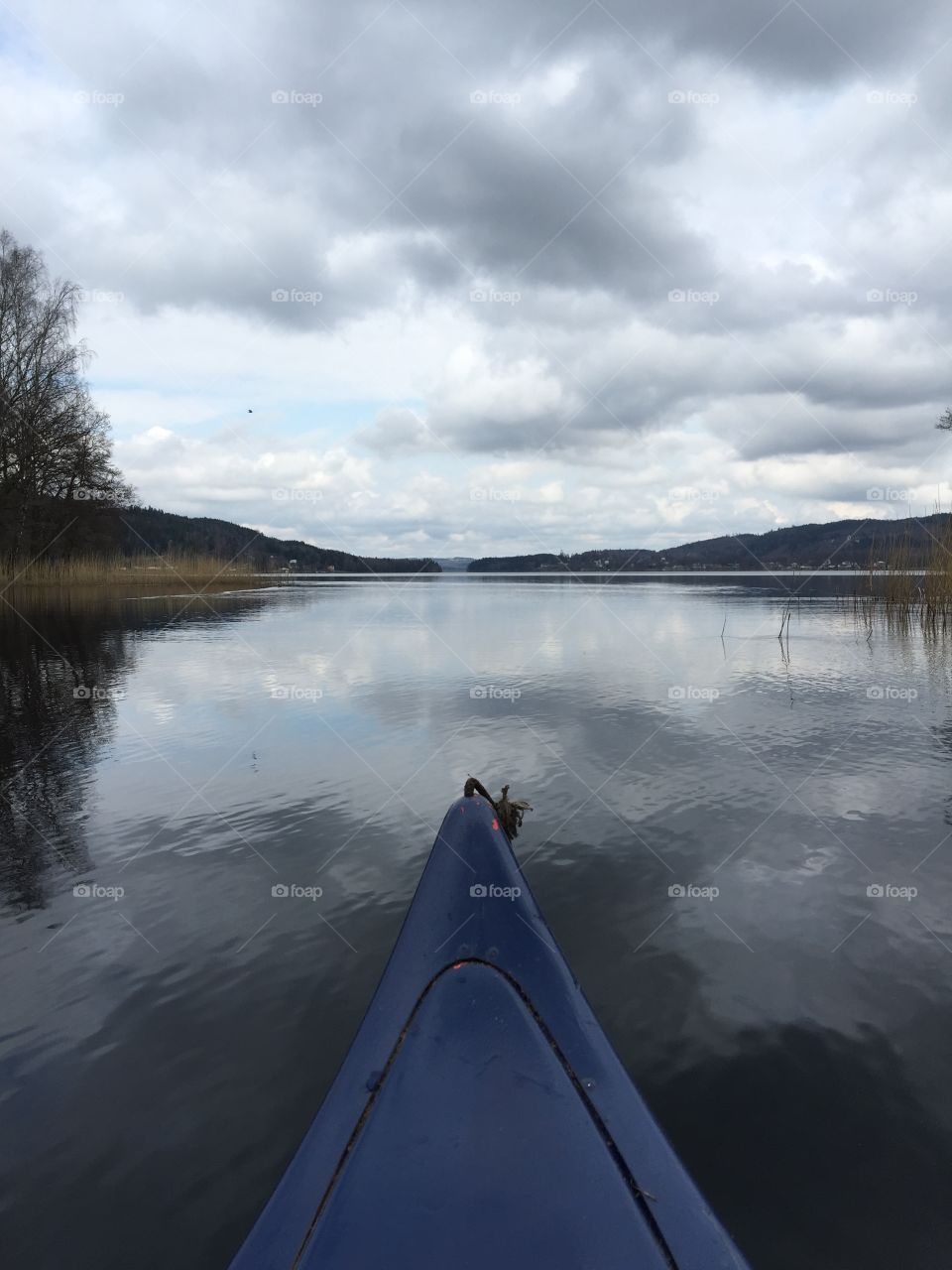 Scenic view of lake