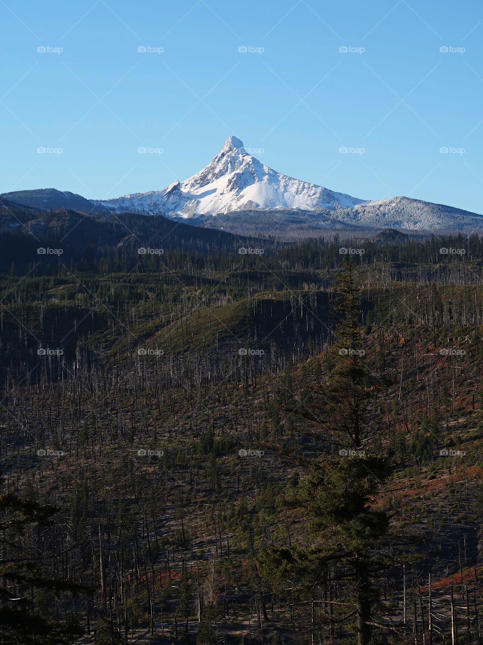A fresh coat of snow covers the jagged peak of Mt. Washington in Oregon’s Cascade Mountain Range with clear blue skies on a cold winter morning.
