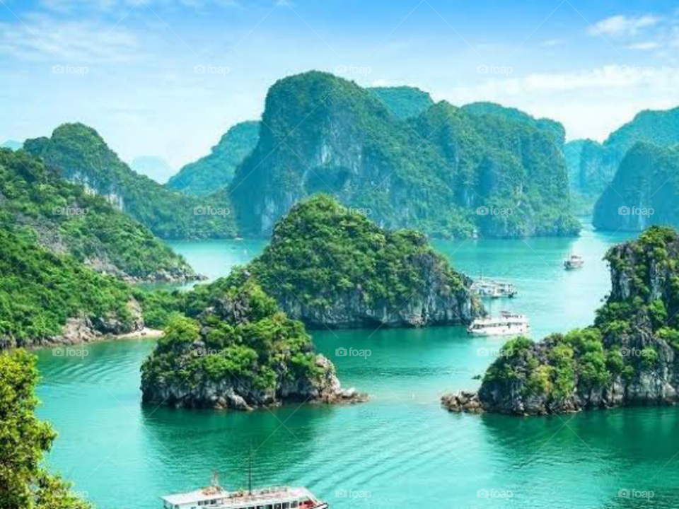 The Beautiful Nature Vibes