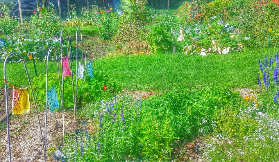 Nature. Community Garden 