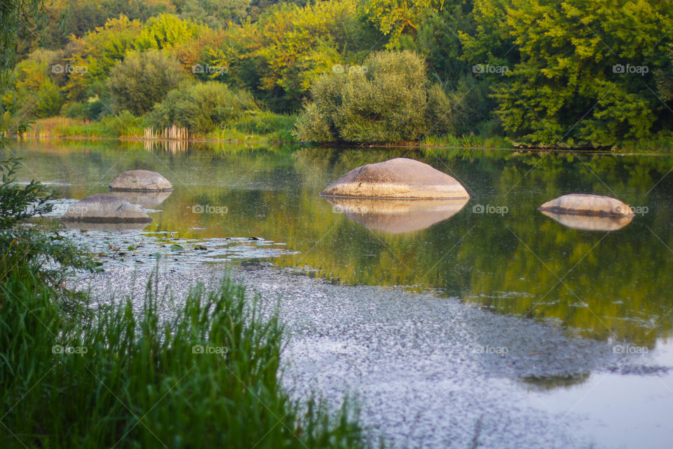 River in the forest