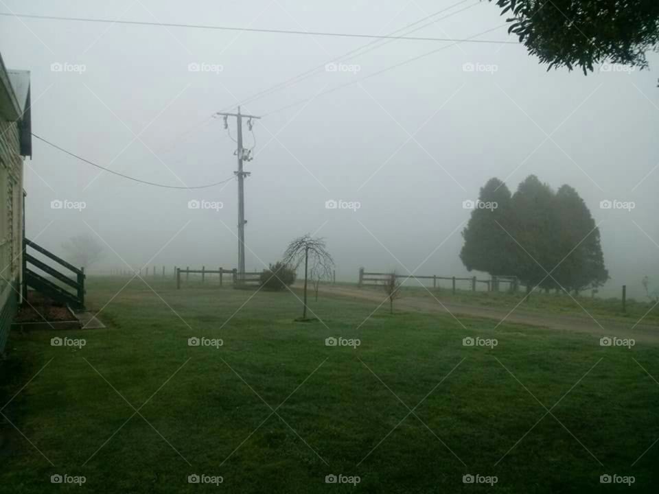 Silent Hill? Never heard of it. 
Life on a farm can be terrifying some mornings.