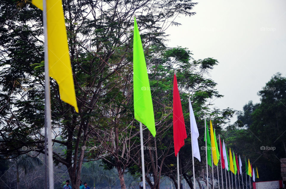 colour flags