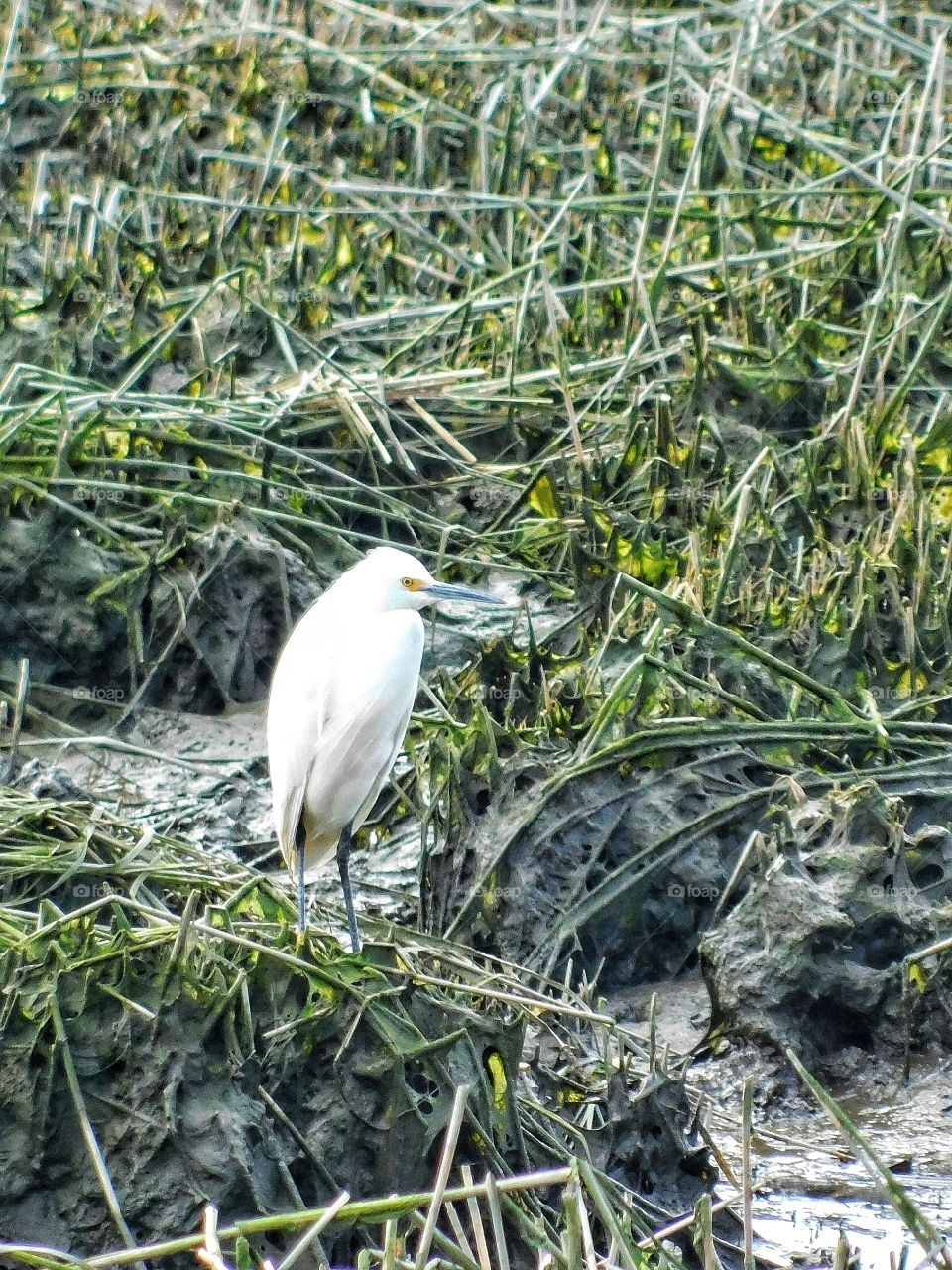 At the harbour