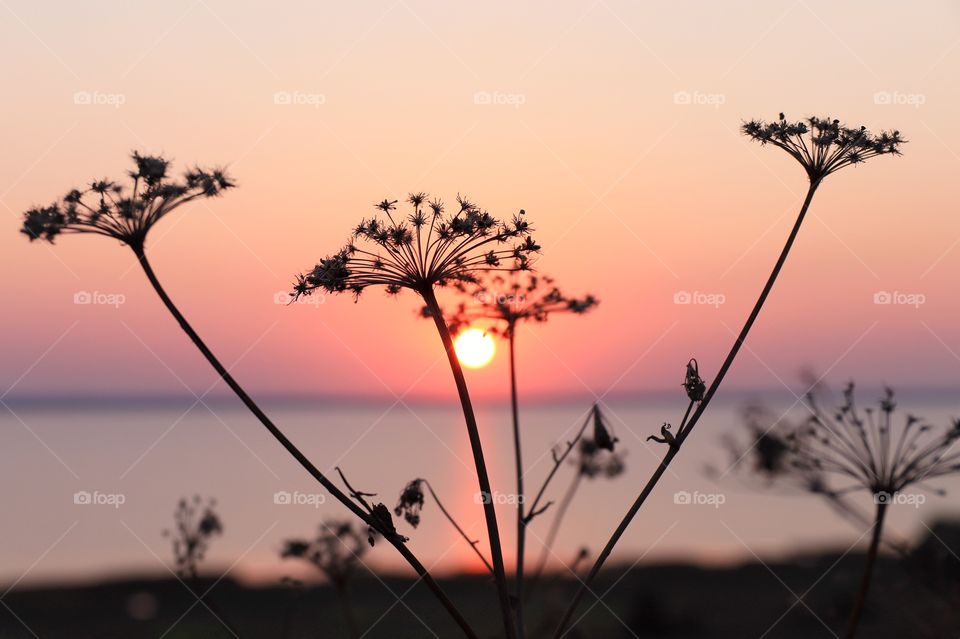 Sunset by the lake