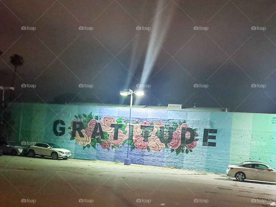 Santa Monica Gratitude Mural