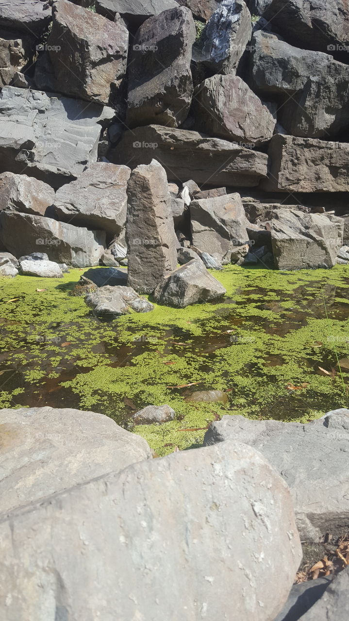 Es Gibt für alles einen Blickfang