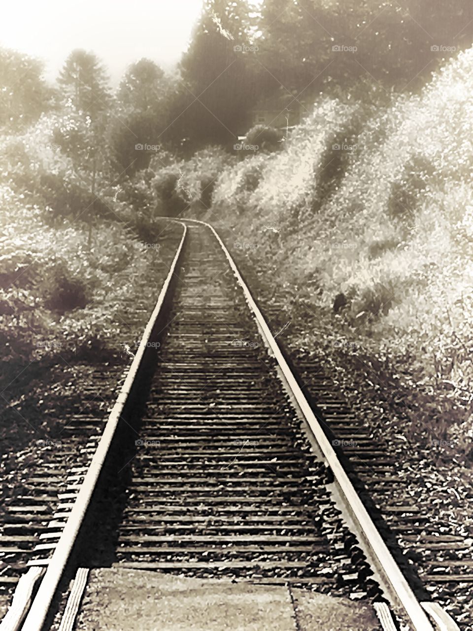 Railroad tracks sepia perspective