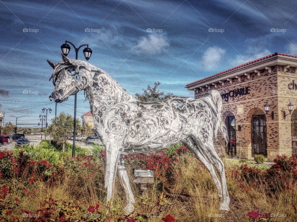 "Arabian" by artist Victoria Reed