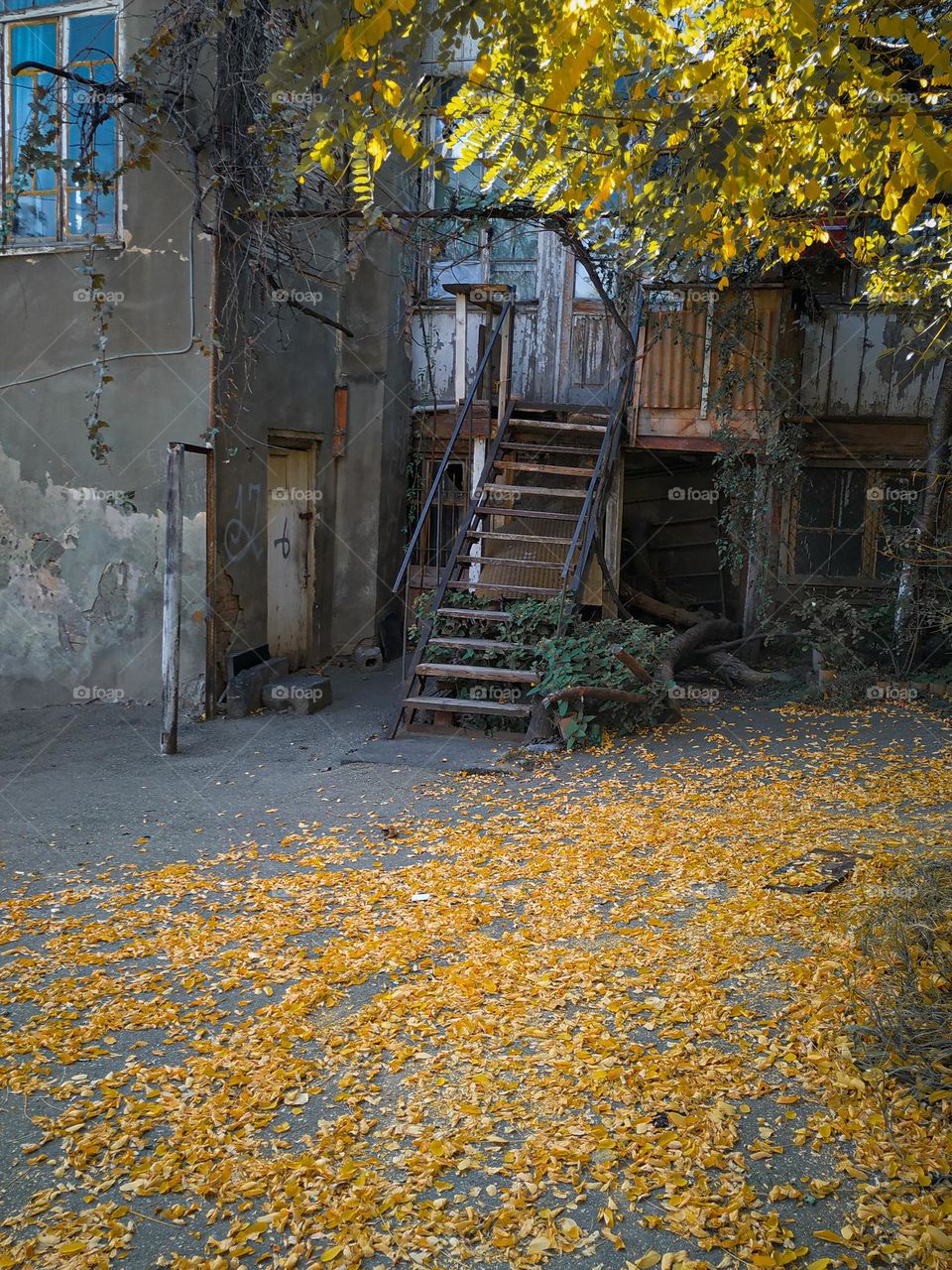An interesting old house against the background of yellow autumn leaves