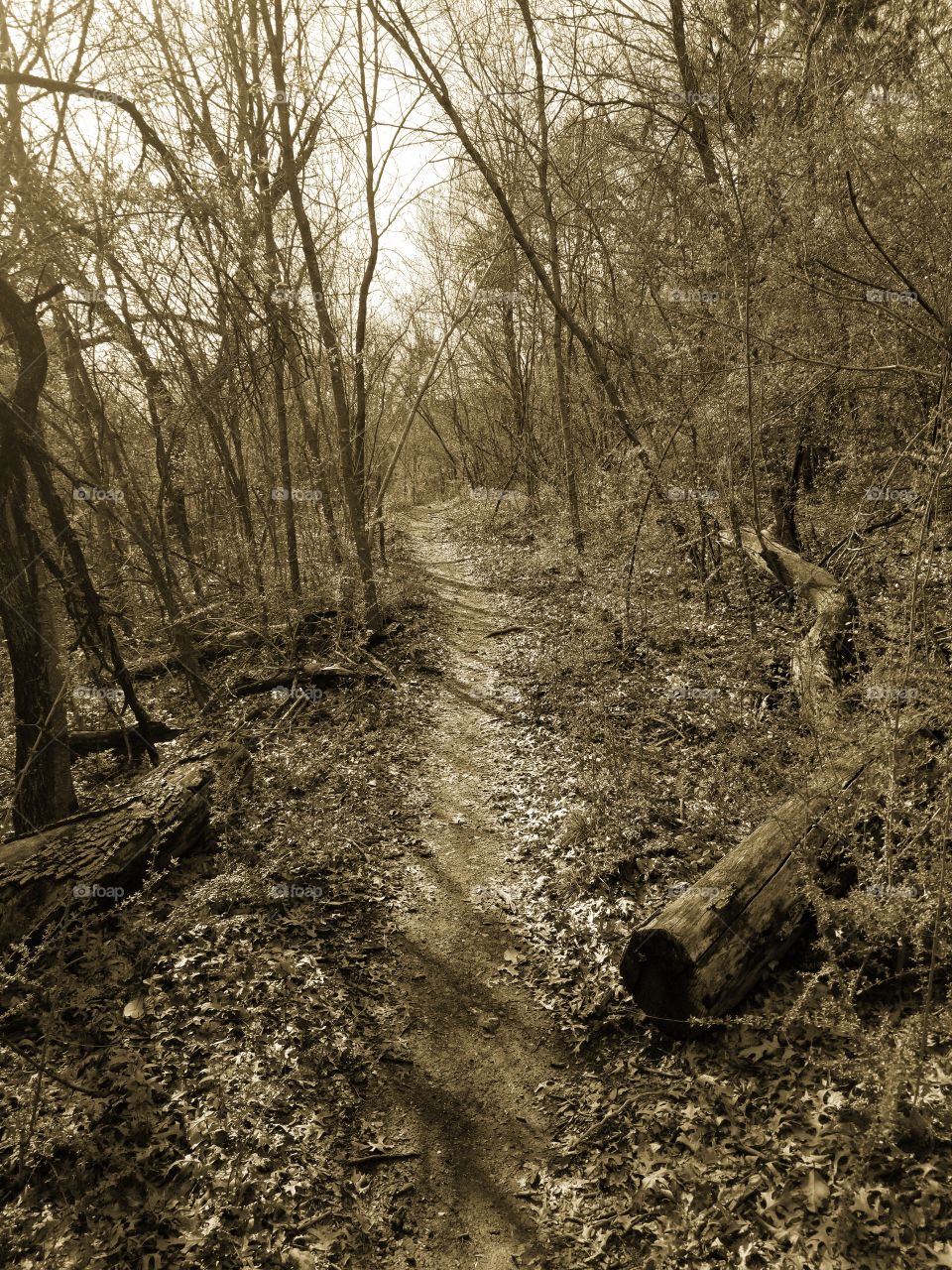 Flashback hiking path