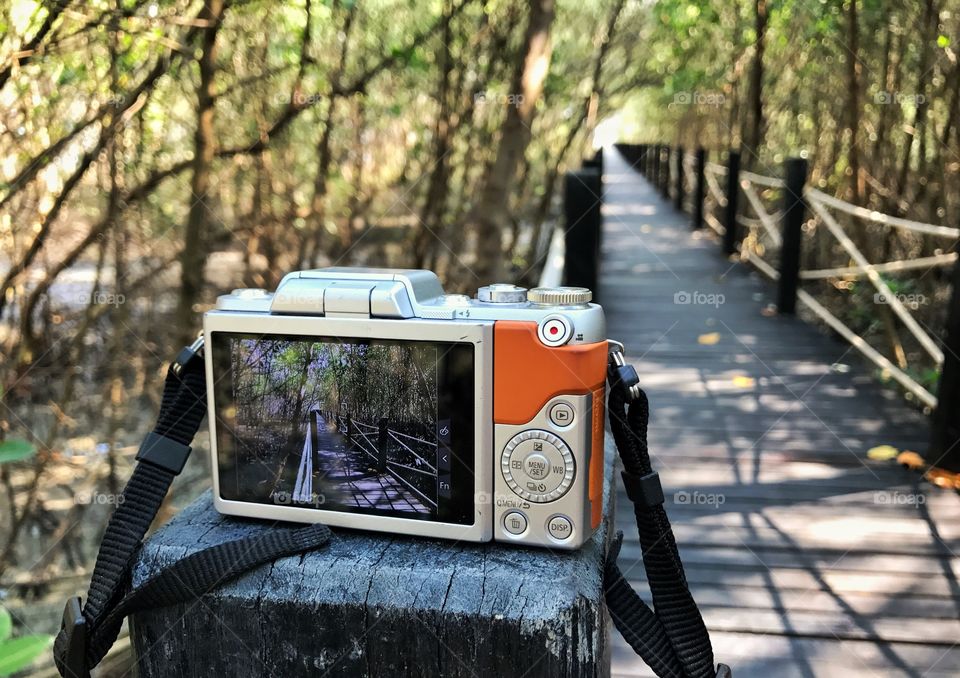 Close up camera put on wood trunk and take a photo wood bridge in mangrove forest