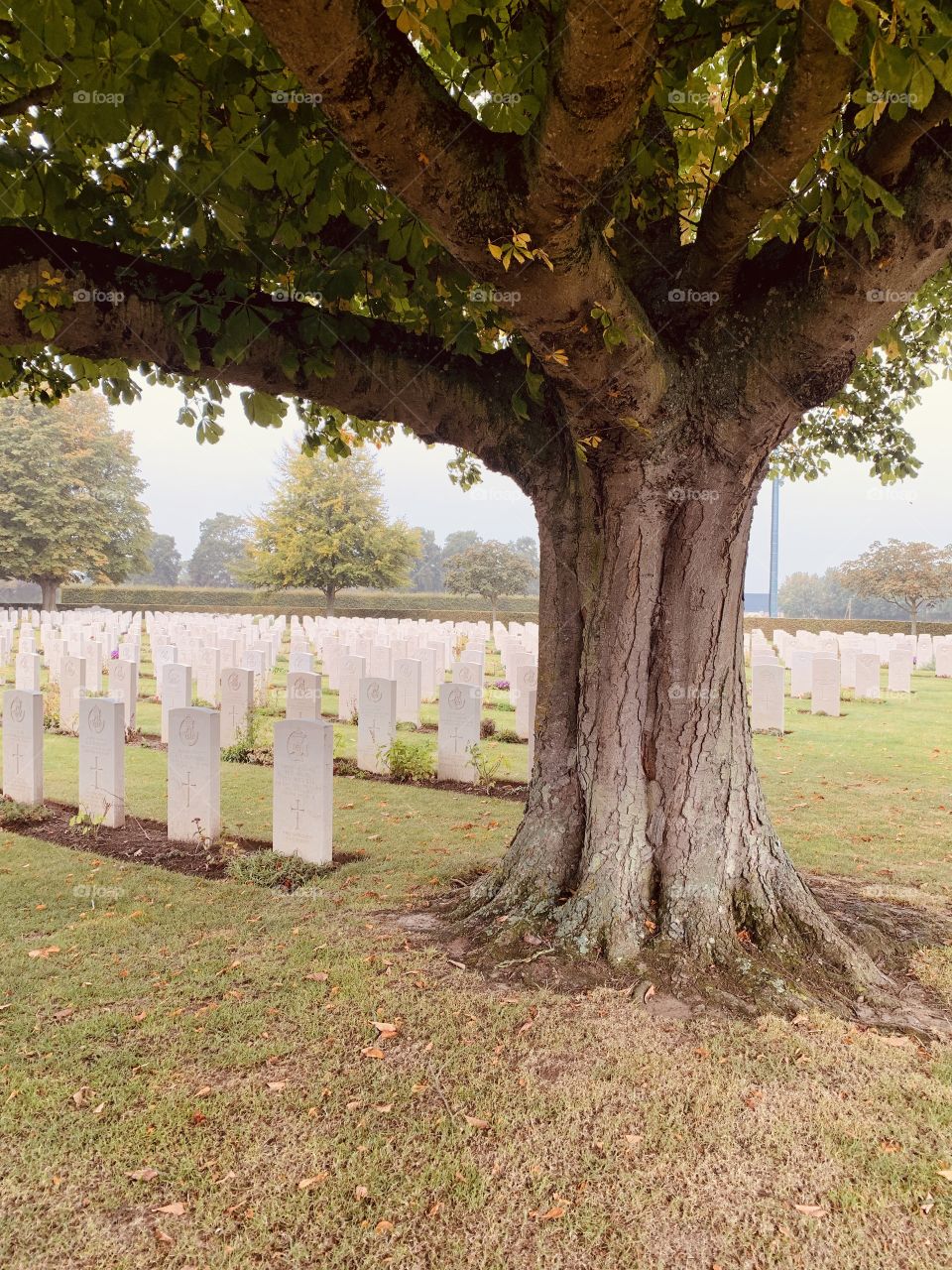 En mémoire des soldats morts aux combats / guerre des 100 jours / D DAY / 1944 