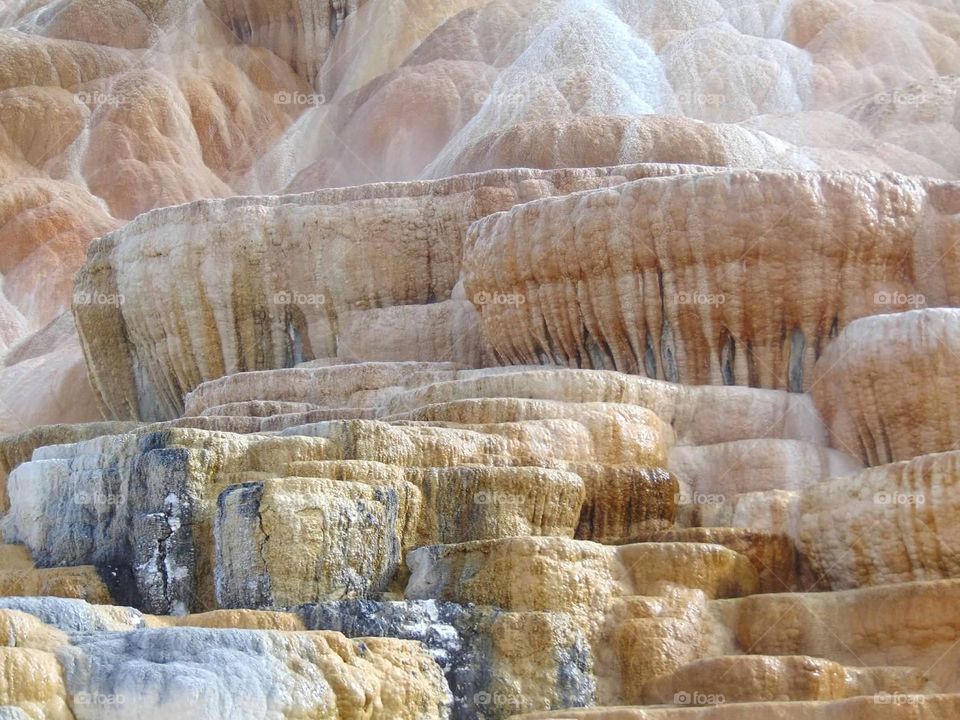 Mammoth hot springs in Yellowstone National Park. 