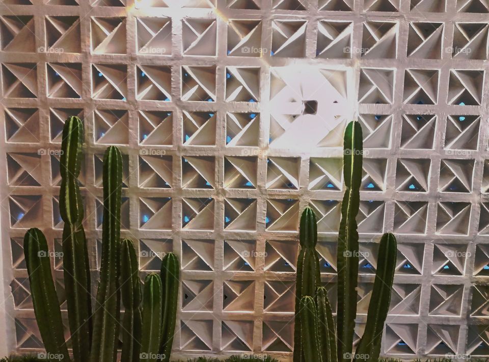 Modern minimalistic and bright living room in shades of dark white with bean bag chair, two coffee tables with carpet and cactuses on background and textured wall.