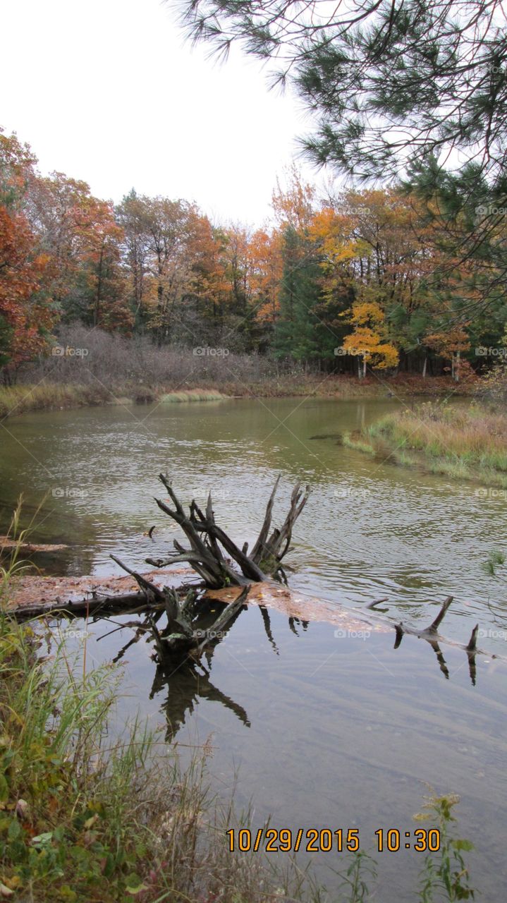 Northern Michigan 