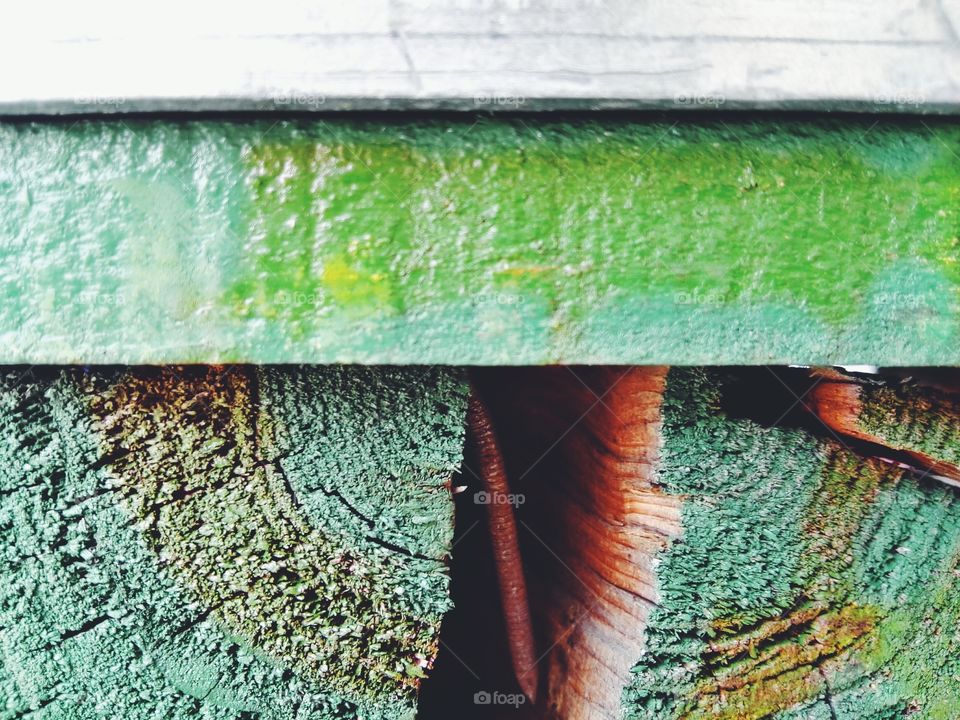 Wooden boards painted green