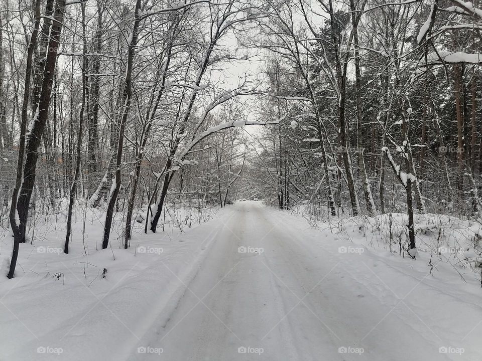 Зимняя дорога - завараживающее зрелище
