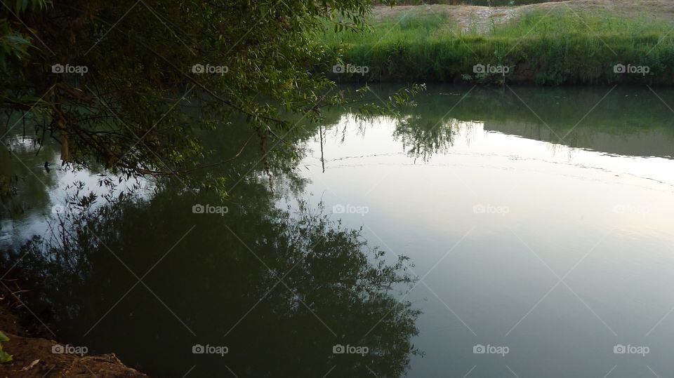 Nice reflection in water