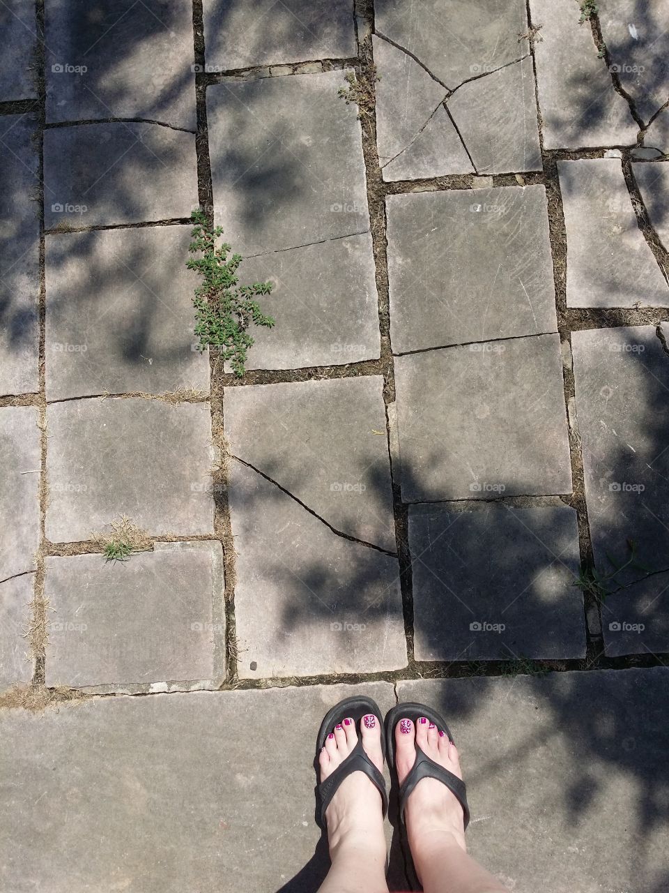 19th Century Walkway to an Abandoned Mansion