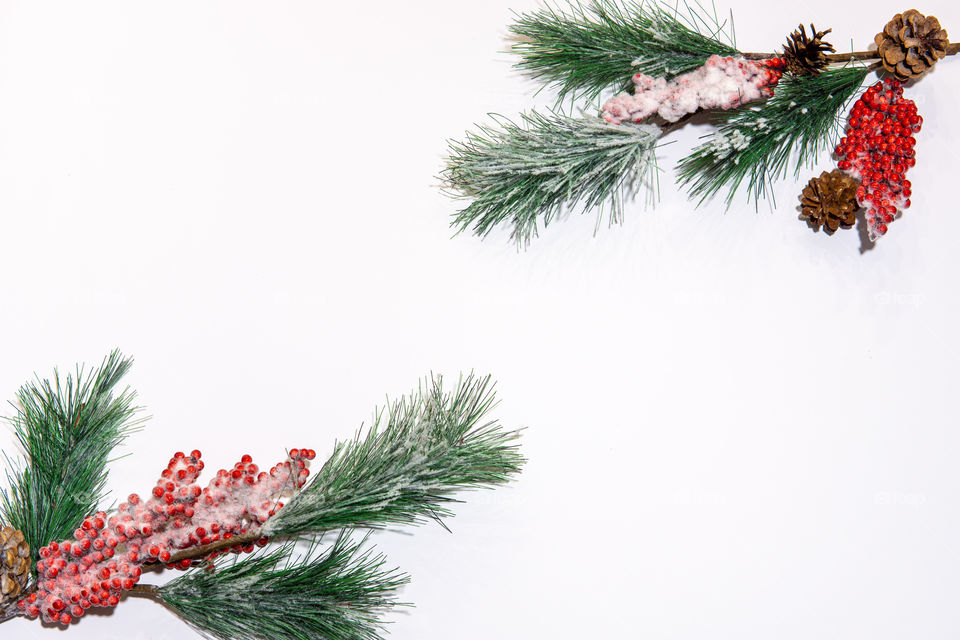 Christmas frame pine tree branches on white background