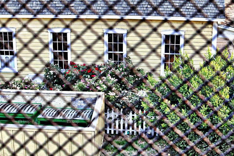 looking through a gate at a yellow and white house with Windows.