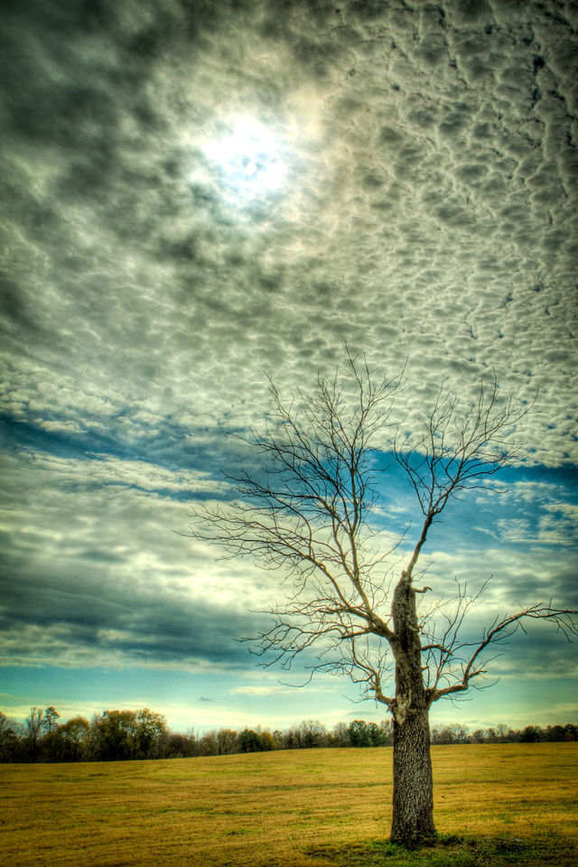 nature